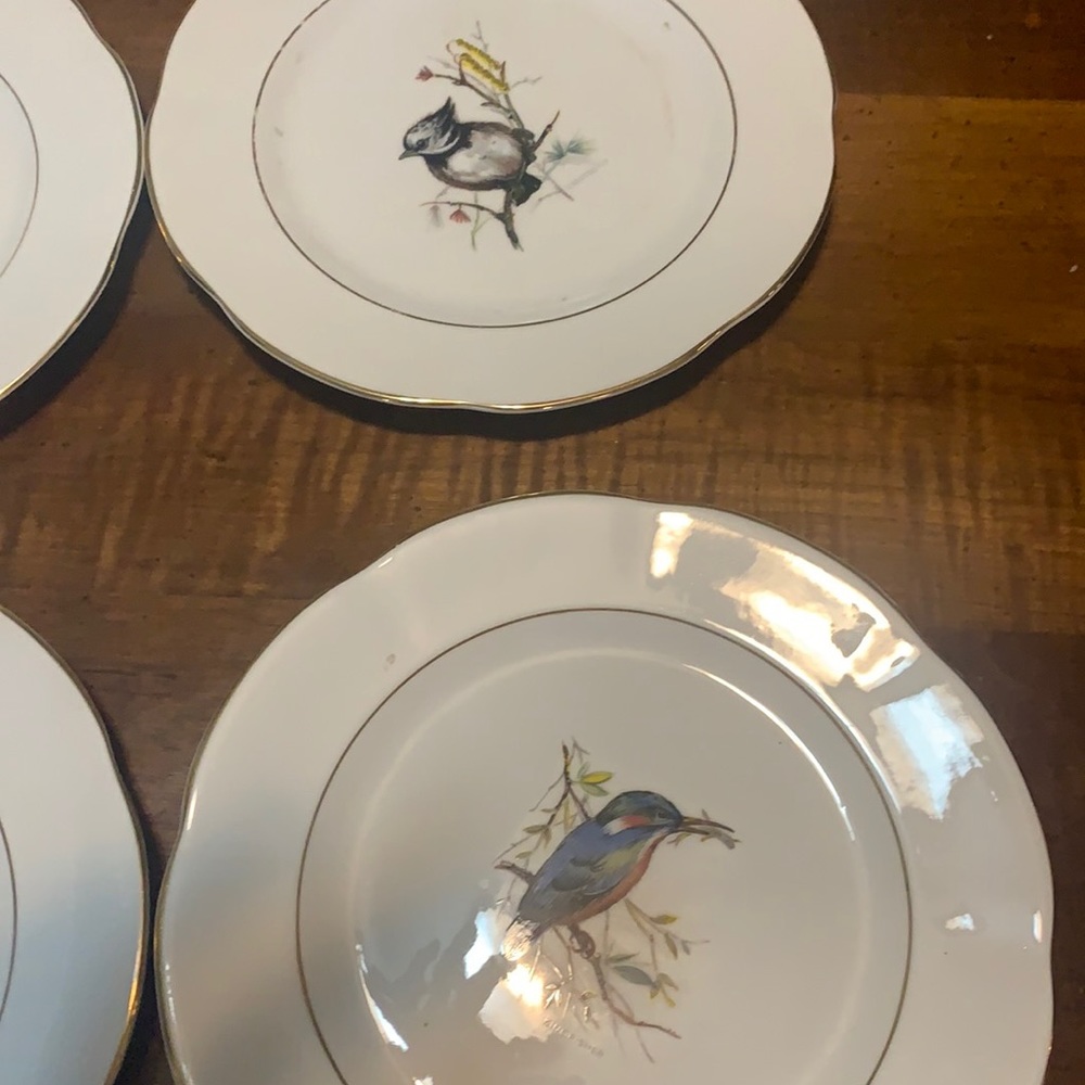 Vintage Rosina bone China